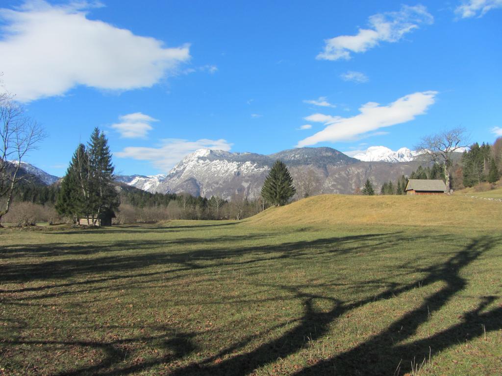 Apartments Arh Bohinj Eksteriør bilde