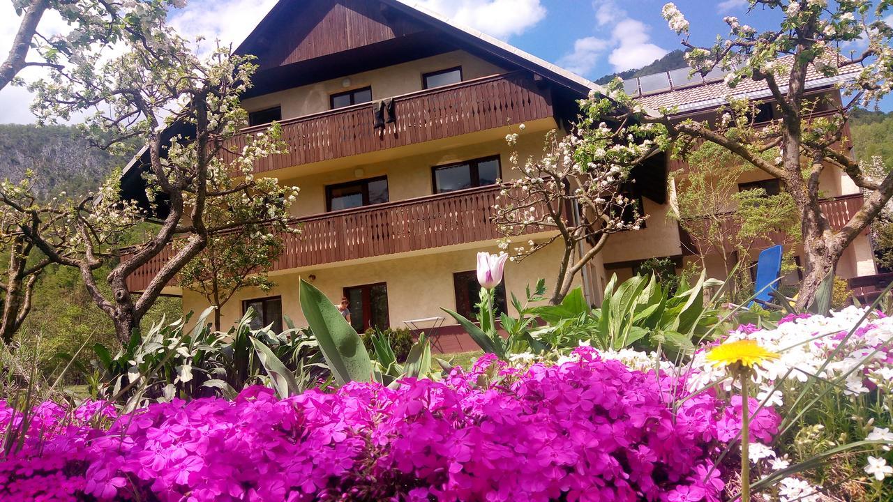 Apartments Arh Bohinj Eksteriør bilde